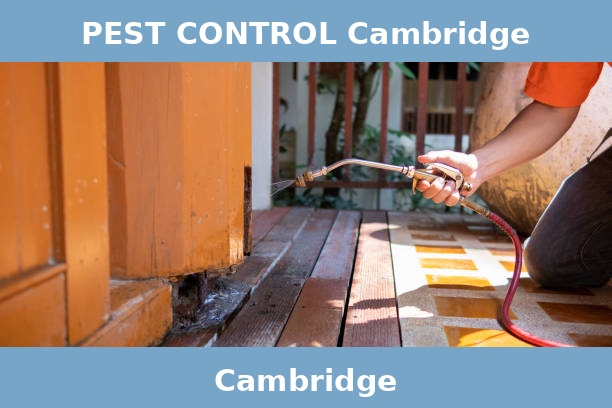 PEST CONTROL Cambridge